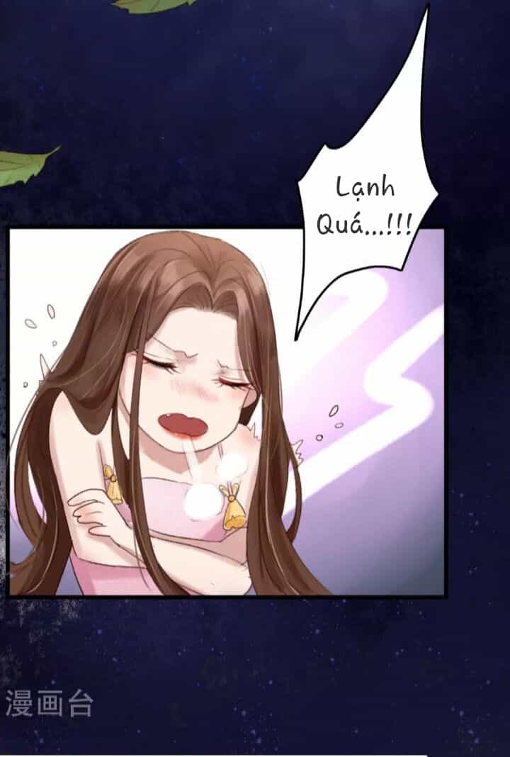 Hành Trình Huy Hoàng - Chương 1 - ảnh 15
