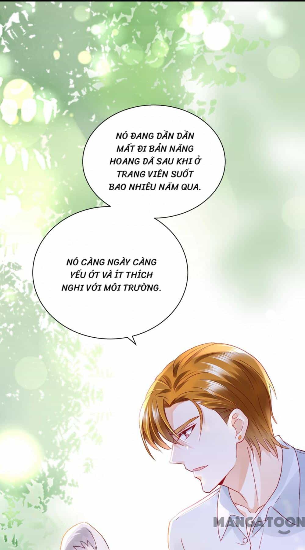 Hào Môn Thiên Giới Tiền Thê - Chương 715 - ảnh 20