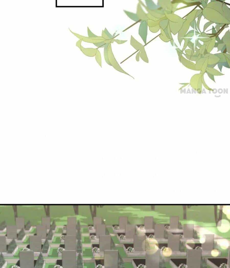 Hào Môn Thiên Giới Tiền Thê - Chương 796 - ảnh 19