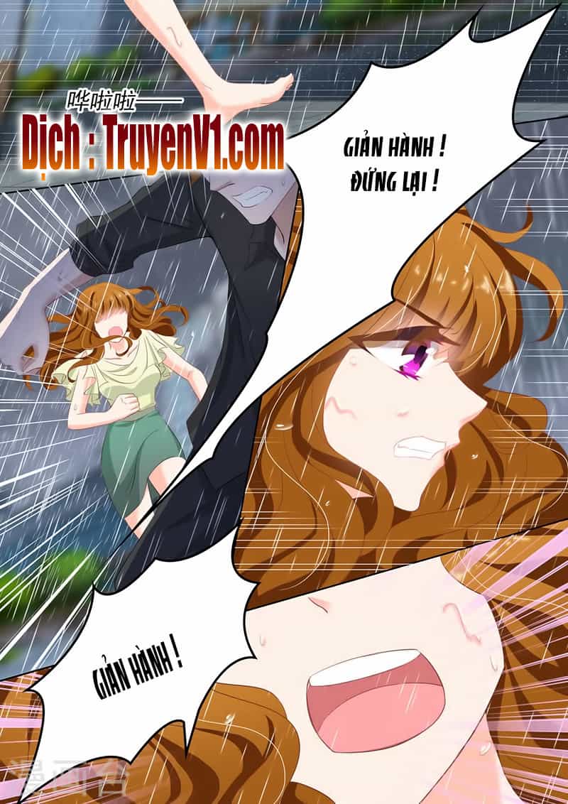 Hào Môn Thiên Giới Tiền Thê - Chương 92 - ảnh 5