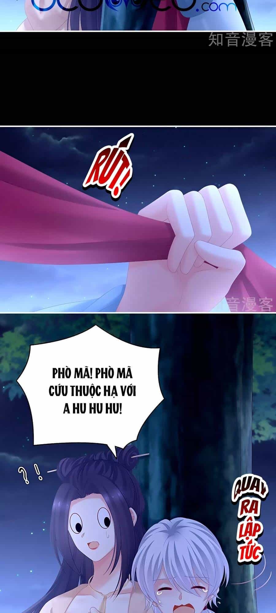 Hậu Cung Của Nữ Đế - Chương 192 - ảnh 20