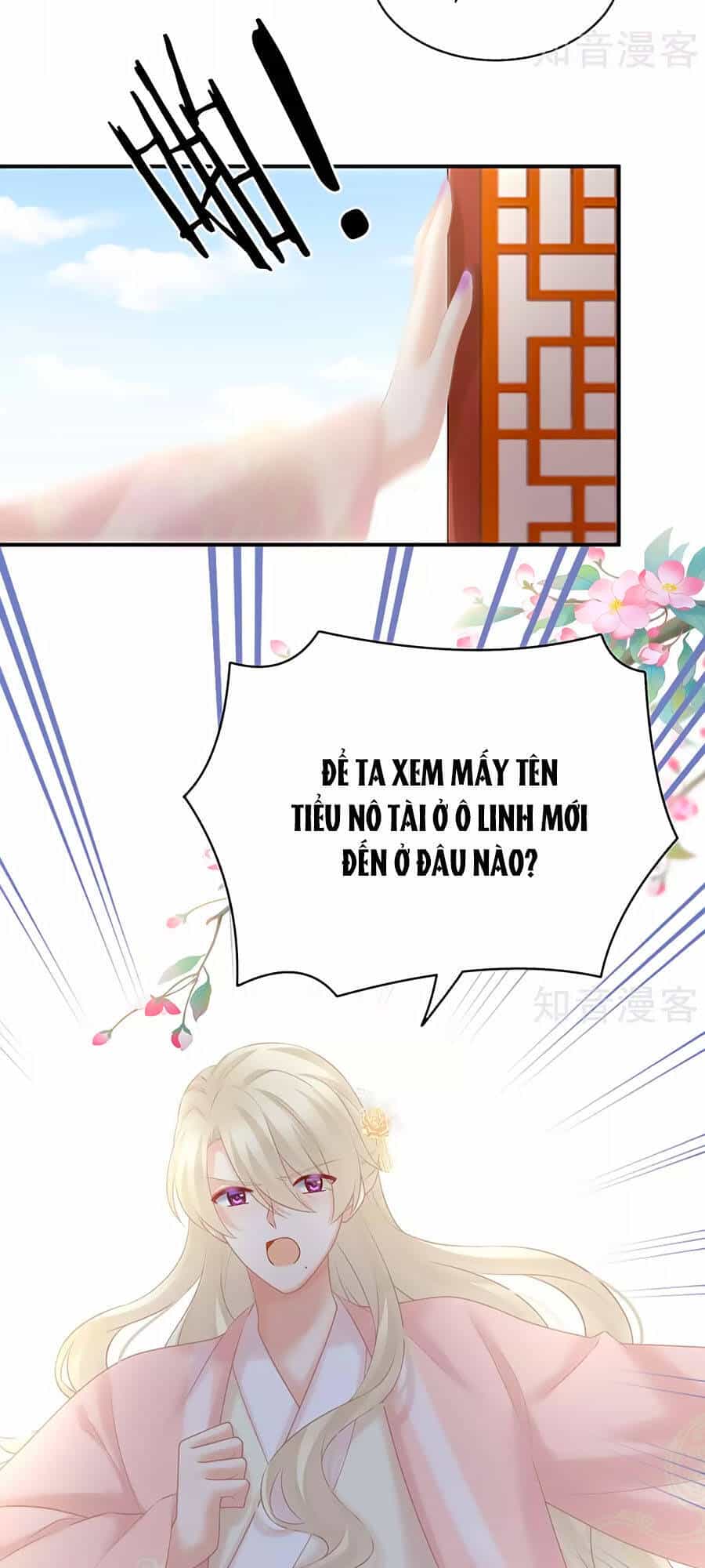 Hậu Cung Của Nữ Đế - Chương 211 - ảnh 11