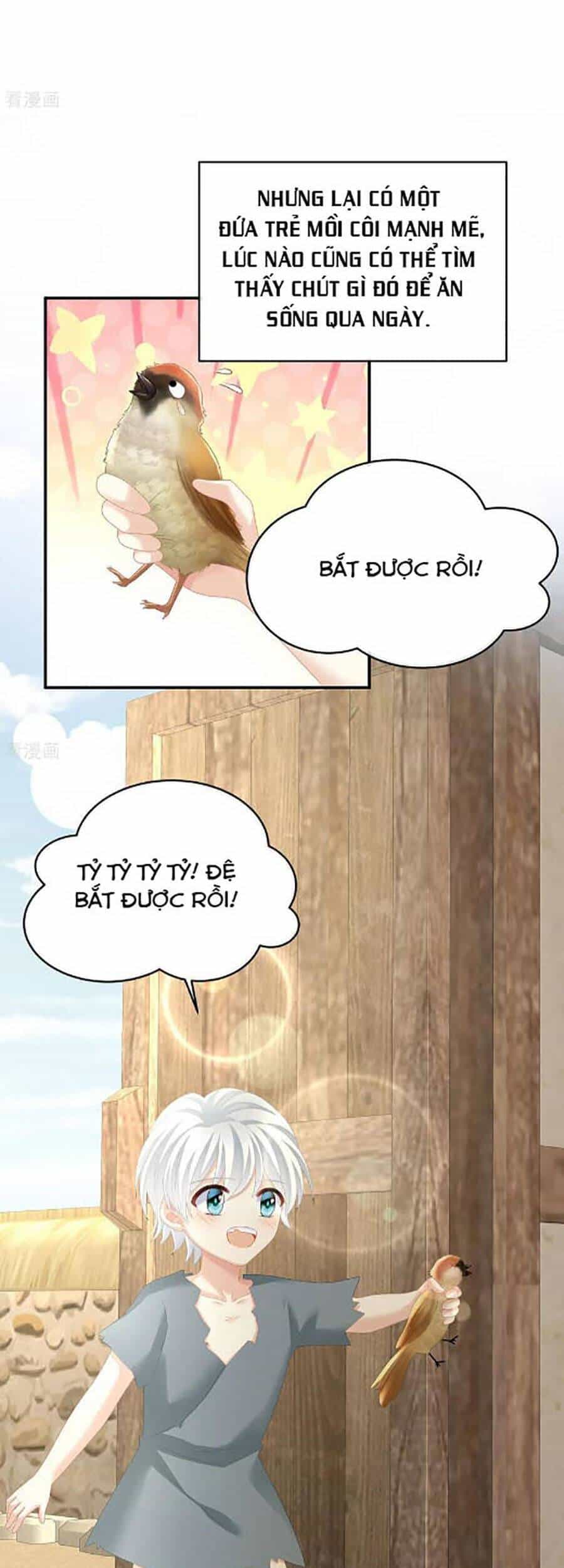 Hậu Cung Của Nữ Đế - Chương 300 - ảnh 20