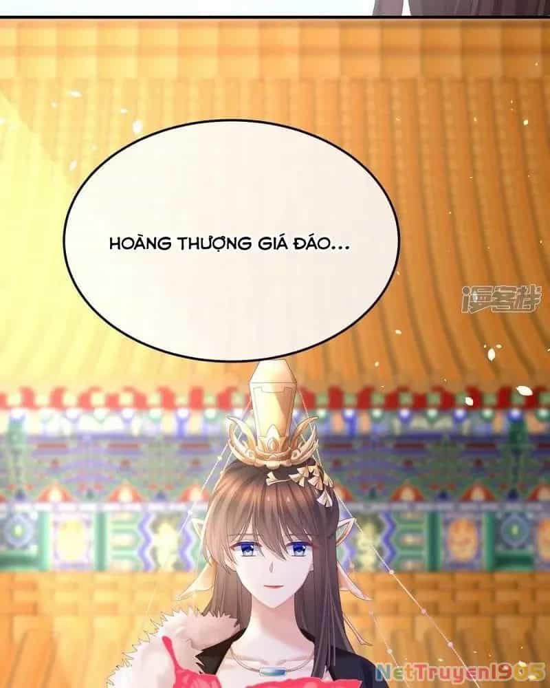 Hậu Cung Của Nữ Đế - Chương 374 - ảnh 3