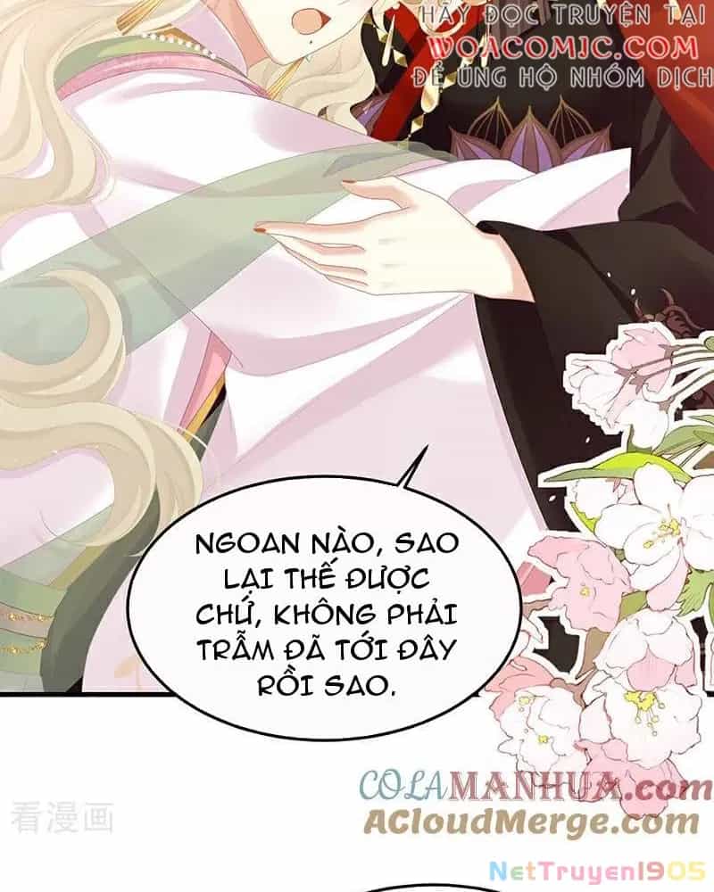 Hậu Cung Của Nữ Đế - Chương 398 - ảnh 2