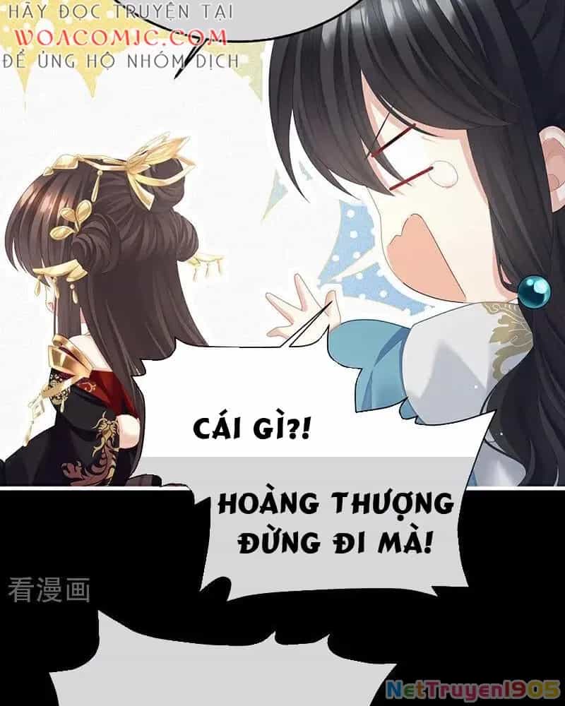 Hậu Cung Của Nữ Đế - Chương 404 - ảnh 14