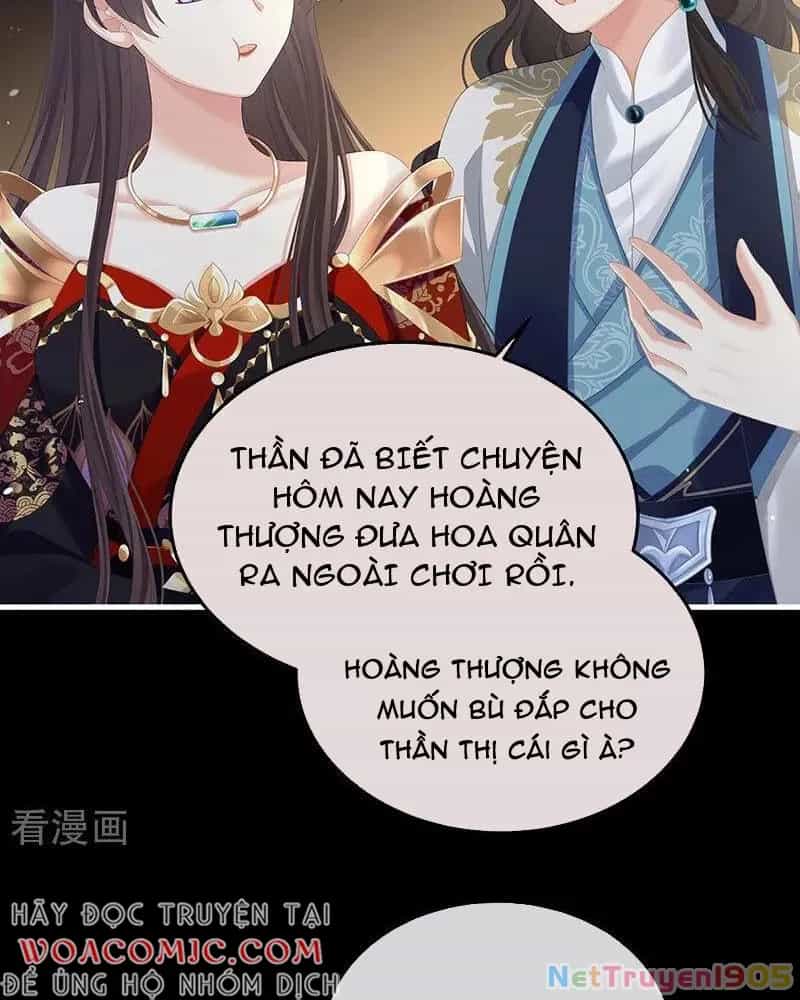 Hậu Cung Của Nữ Đế - Chương 404 - ảnh 5