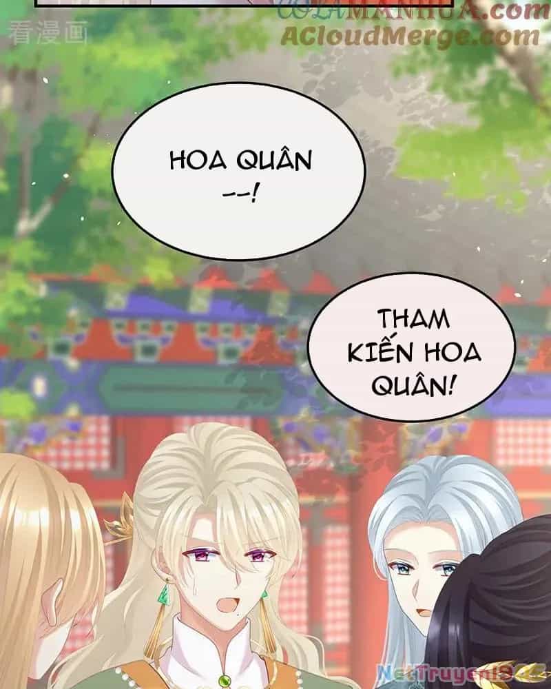 Hậu Cung Của Nữ Đế - Chương 411 - ảnh 36