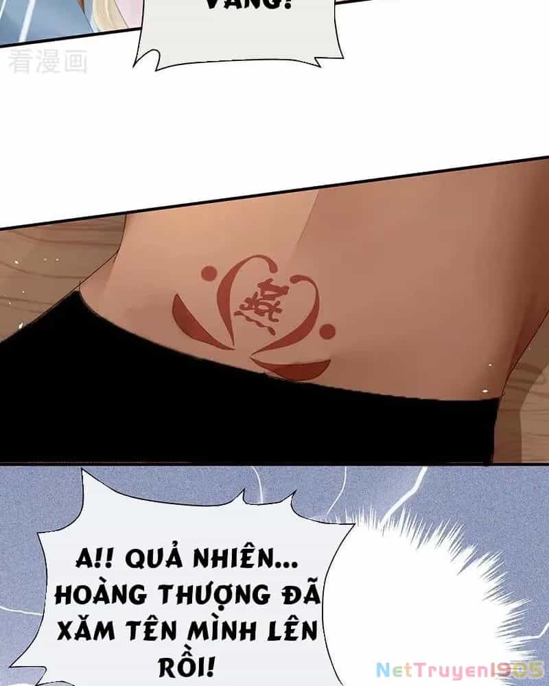Hậu Cung Của Nữ Đế - Chương 414 - ảnh 5