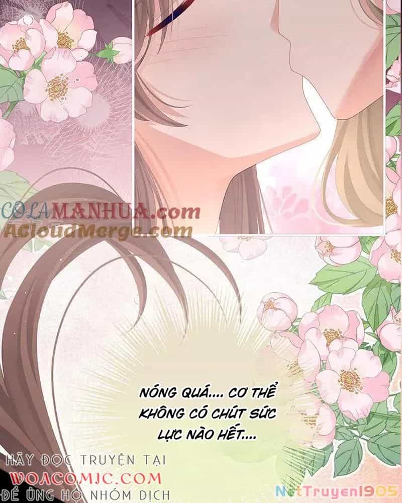 Hậu Cung Của Nữ Đế - Chương 423 - ảnh 17