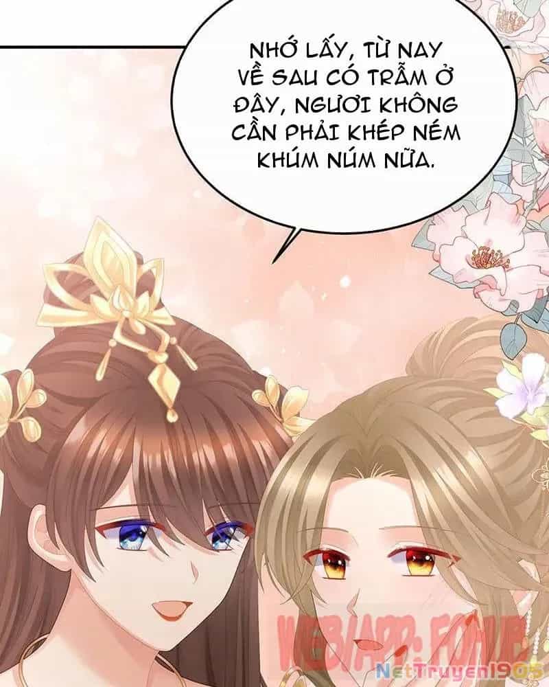 Hậu Cung Của Nữ Đế - Chương 429 - ảnh 13