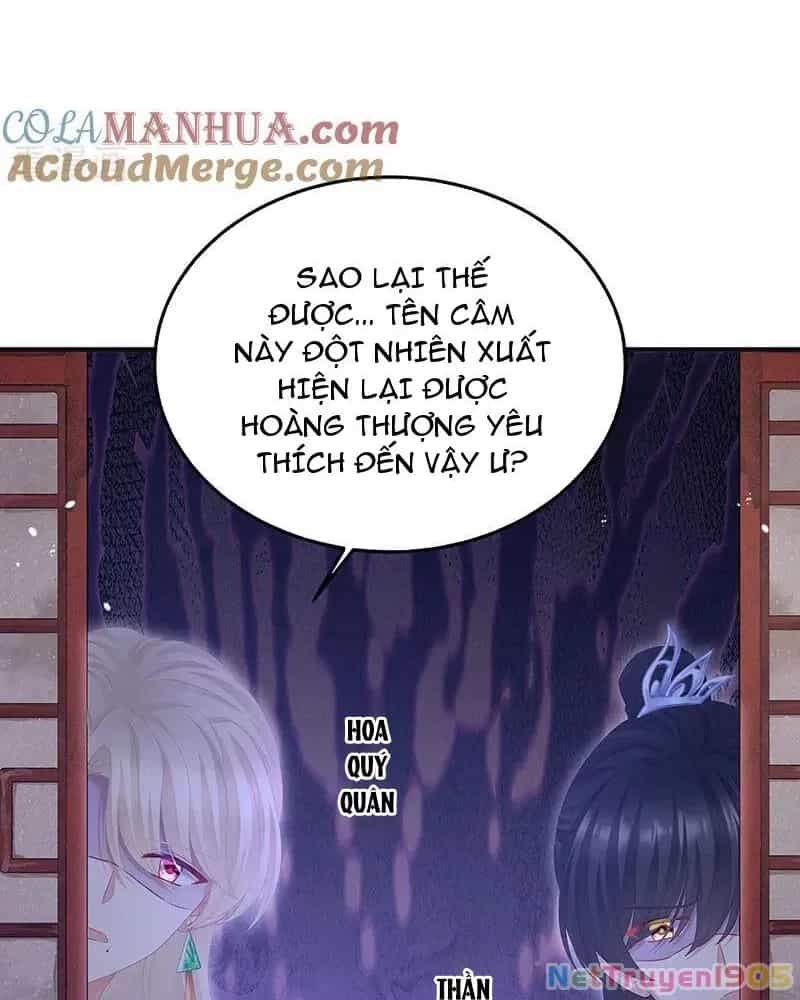 Hậu Cung Của Nữ Đế - Chương 429 - ảnh 18