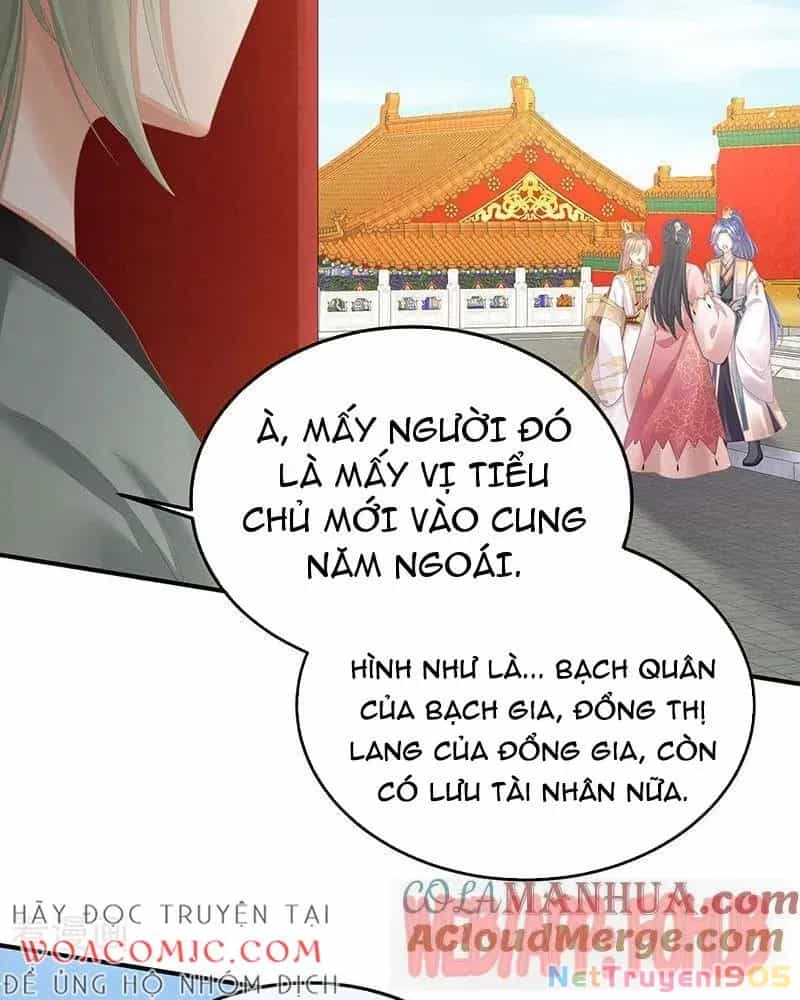 Hậu Cung Của Nữ Đế - Chương 435 - ảnh 25