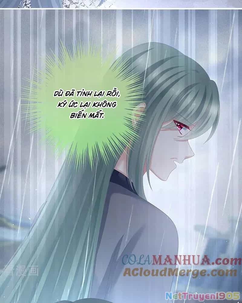 Hậu Cung Của Nữ Đế - Chương 435 - ảnh 8