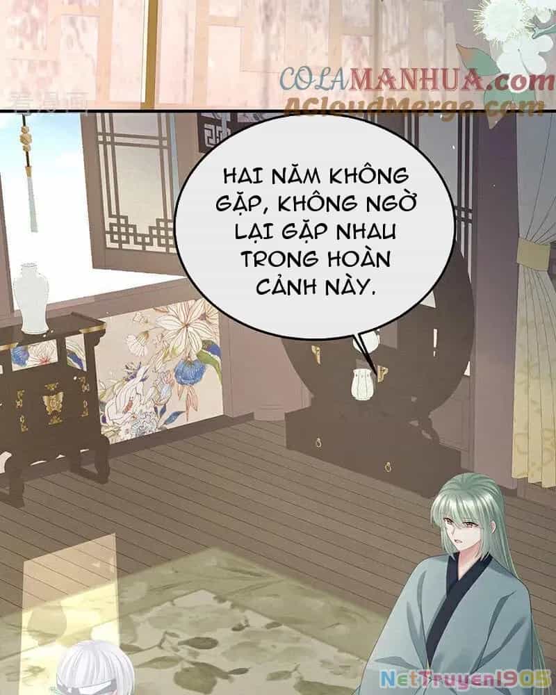 Hậu Cung Của Nữ Đế - Chương 442 - ảnh 27
