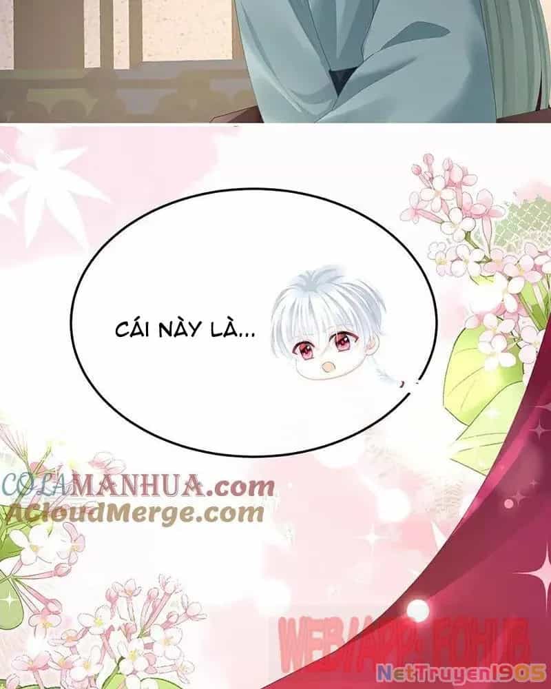 Hậu Cung Của Nữ Đế - Chương 446 - ảnh 49