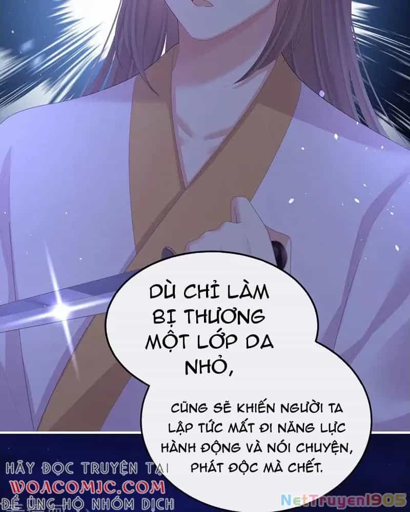 Hậu Cung Của Nữ Đế - Chương 447 - ảnh 42