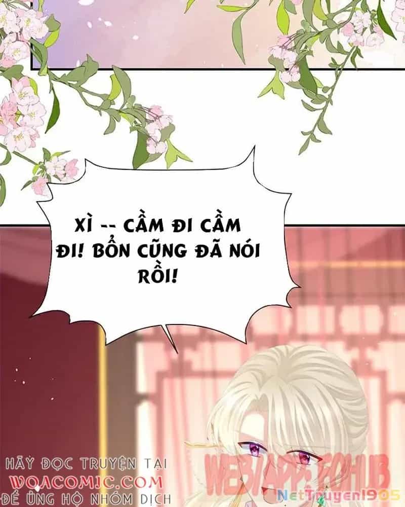 Hậu Cung Của Nữ Đế - Chương 448 - ảnh 7