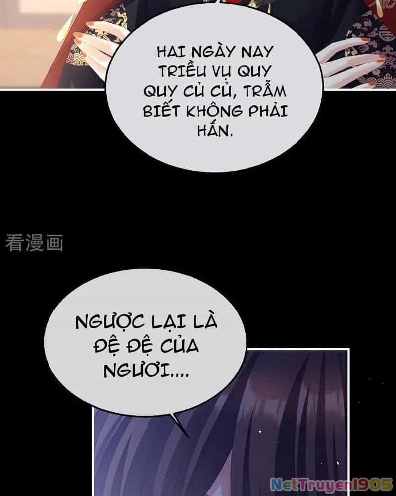 Hậu Cung Của Nữ Đế - Chương 453 - ảnh 11
