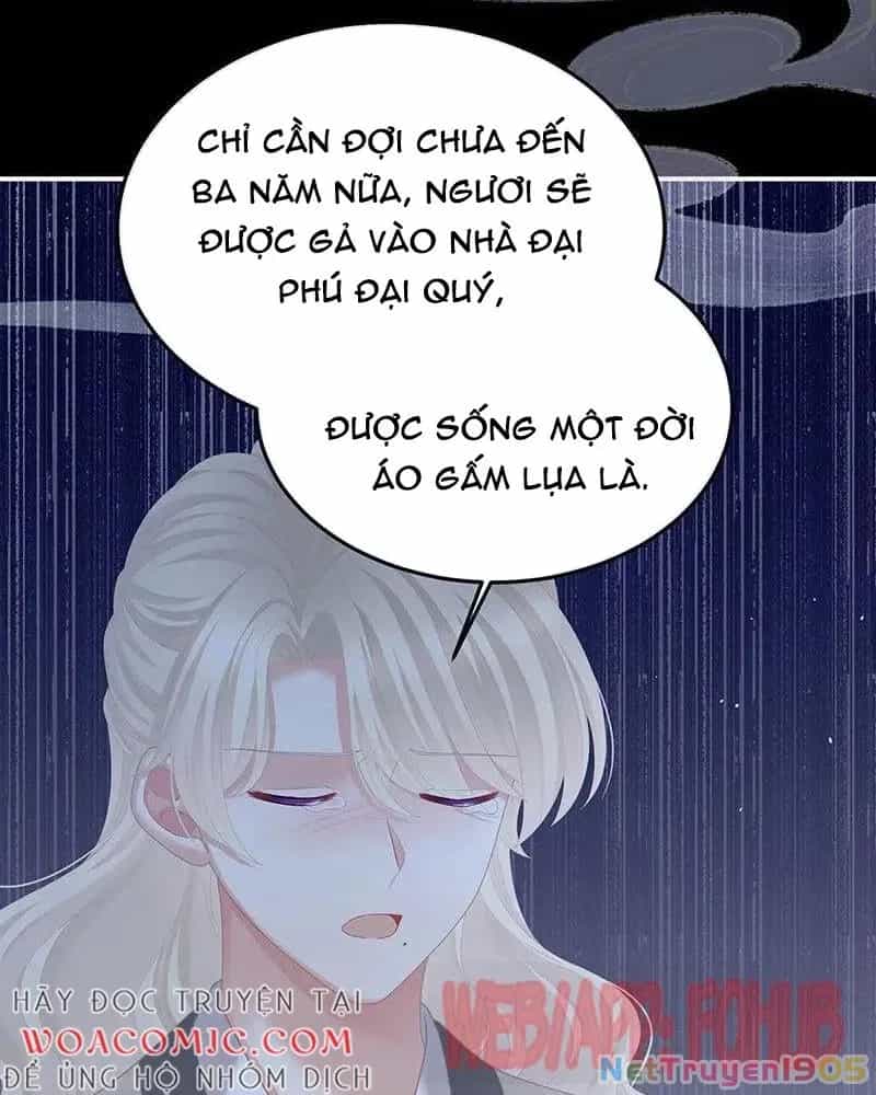 Hậu Cung Của Nữ Đế - Chương 454 - ảnh 43