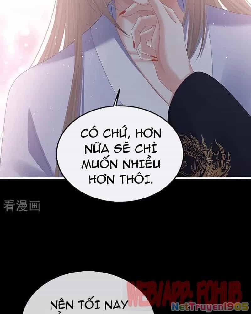 Hậu Cung Của Nữ Đế - Chương 458 - ảnh 25
