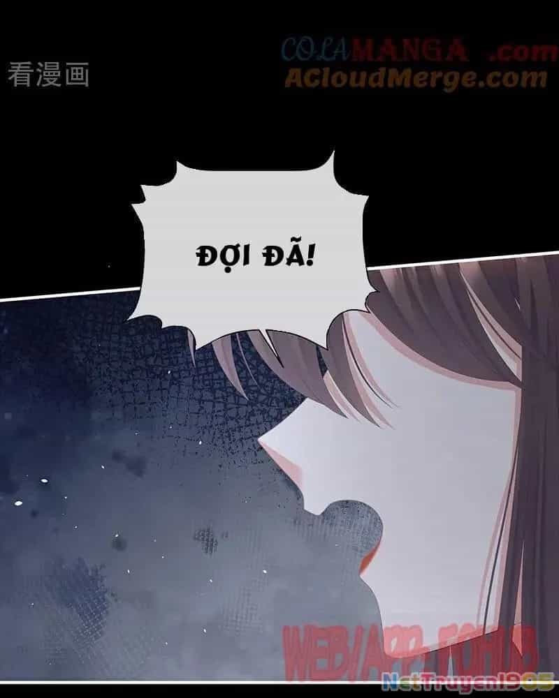 Hậu Cung Của Nữ Đế - Chương 466 - ảnh 55