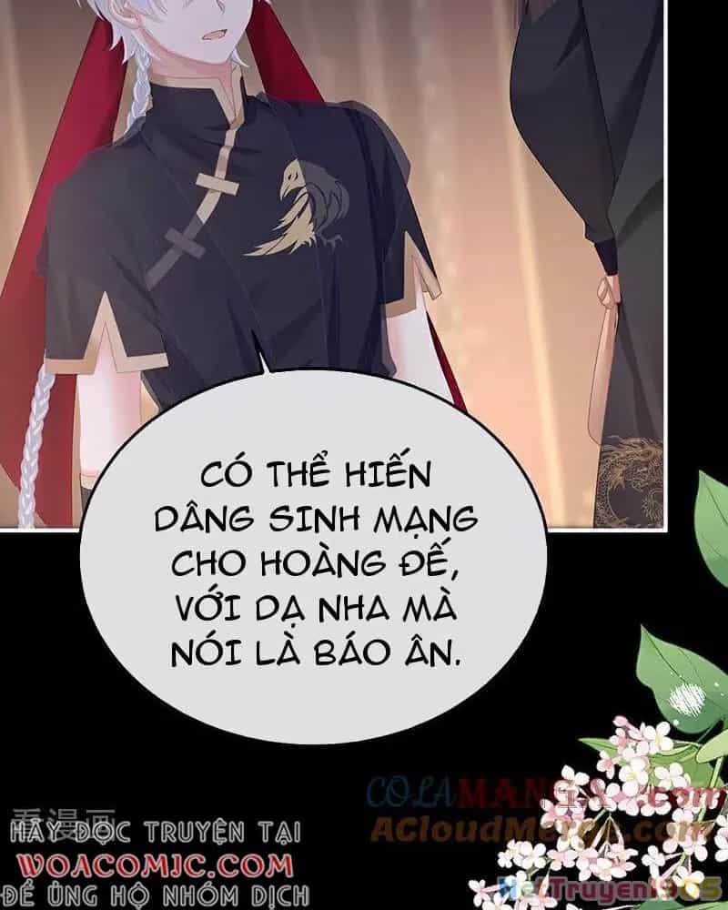 Hậu Cung Của Nữ Đế - Chương 467 - ảnh 5