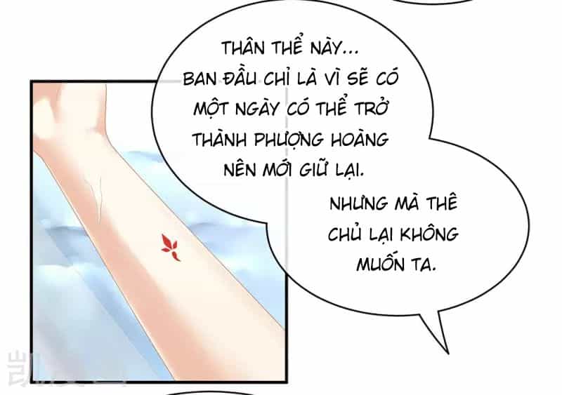 Hậu Cung Của Nữ Đế - Chương 60 - ảnh 2