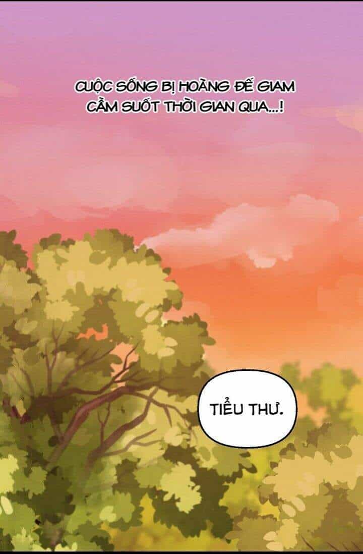 Hãy Bỏ Mặc Tôi - Chương 25 - ảnh 21