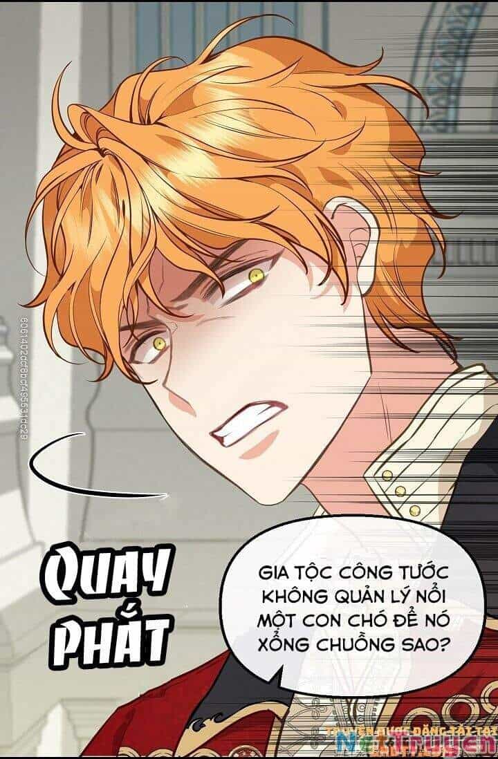 Hãy Bỏ Mặc Tôi - Chương 44 - ảnh 23