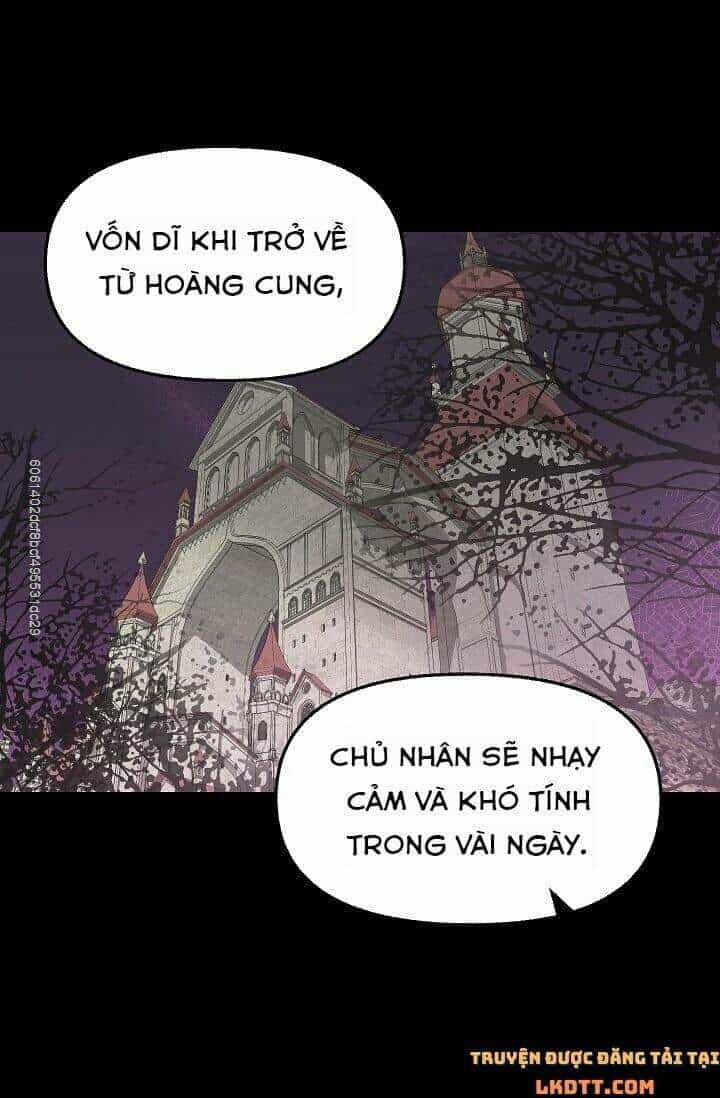 Hãy Bỏ Mặc Tôi - Chương 45 - ảnh 21