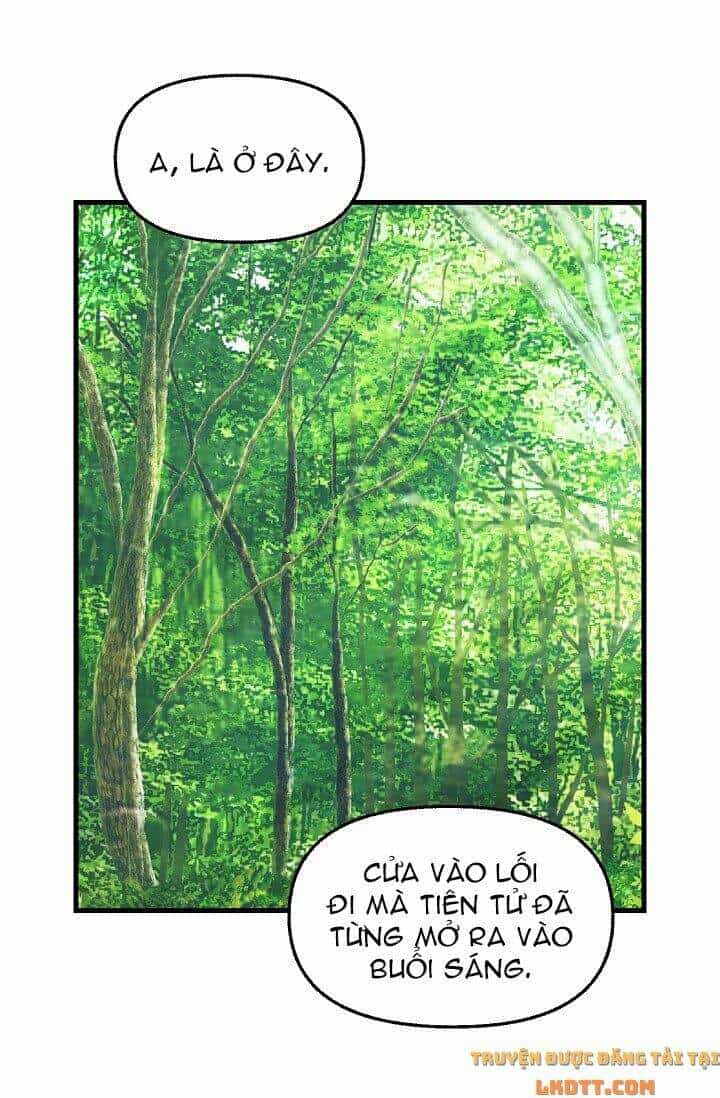 Hãy Bỏ Mặc Tôi - Chương 62 - ảnh 40
