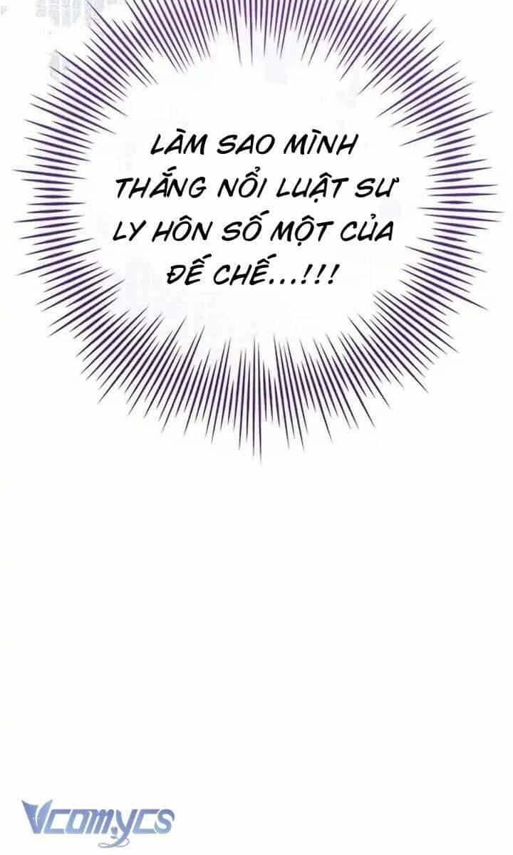 Hãy Để Luật Sư Chuyên Nghiệp Lo Chuyện Ly Hôn - Chương 1 - ảnh 17
