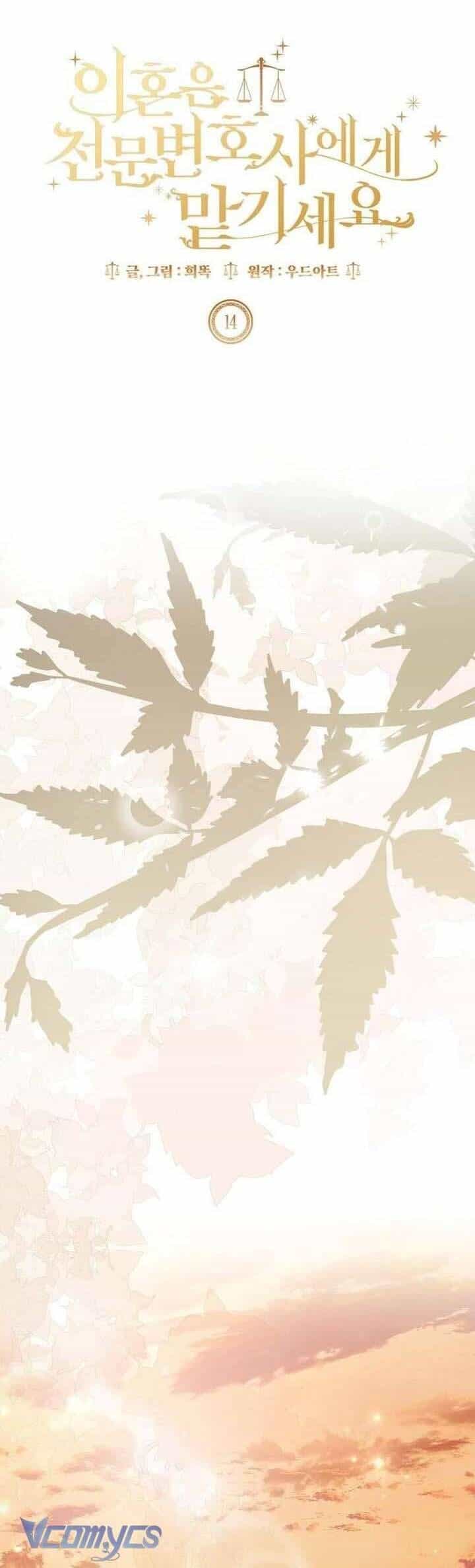 Hãy Để Luật Sư Chuyên Nghiệp Lo Chuyện Ly Hôn - Chương 14 - ảnh 38
