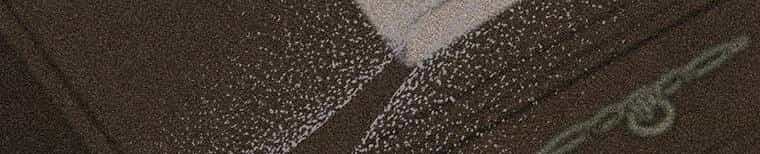 Hãy Để Tôi Được Hiểu Em - Chương 85 - ảnh 100