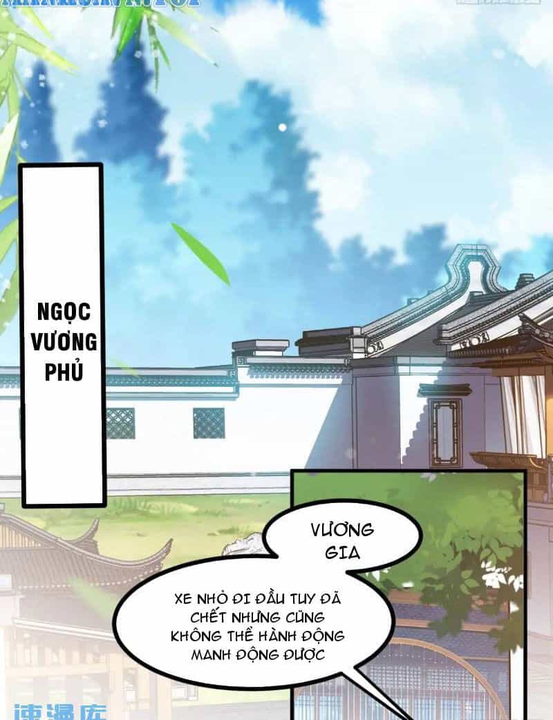 Hệ Thống Gánh Con Mạnh Nhất - Chương 124 - ảnh 27