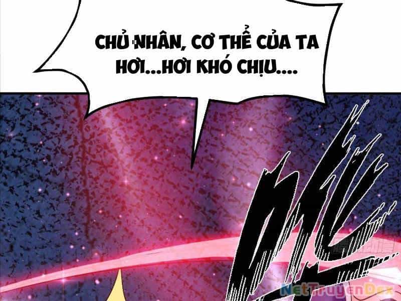 Hệ Thống Hèn Mọn Quỳ Xuống Cầu Xin Ta Vô Địch - Chương 26 - ảnh 94