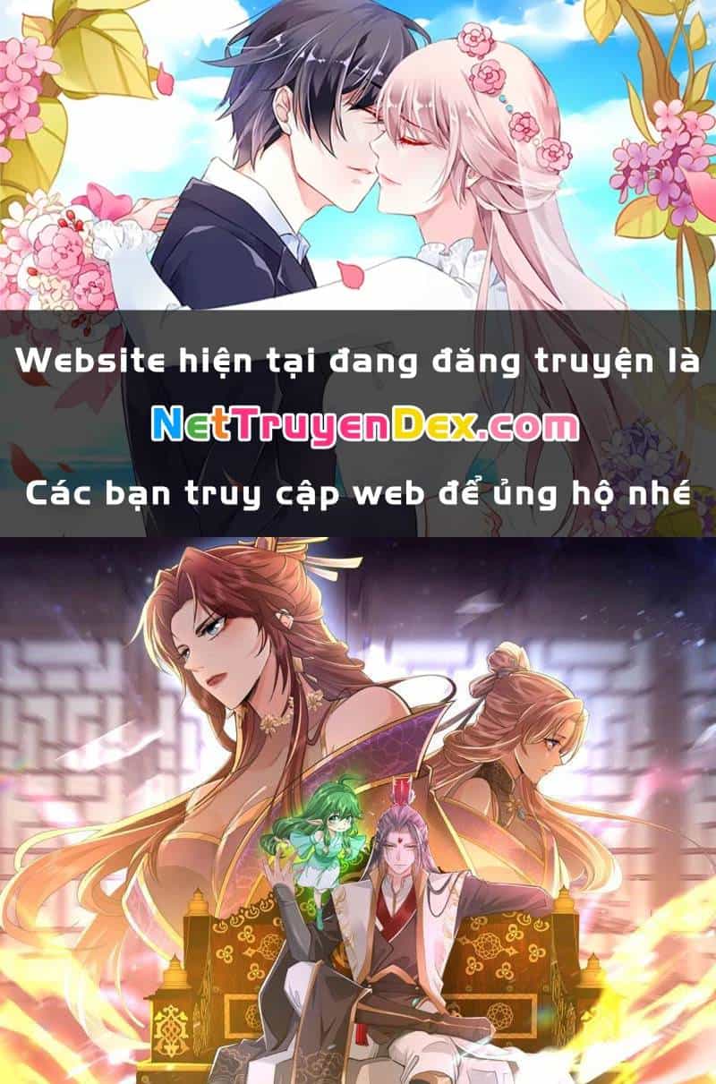 Hệ Thống Hèn Mọn Quỳ Xuống Cầu Xin Ta Vô Địch - Chương 28 - ảnh 2