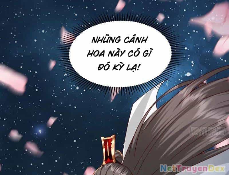 Hệ Thống Hèn Mọn Quỳ Xuống Cầu Xin Ta Vô Địch - Chương 28 - ảnh 28