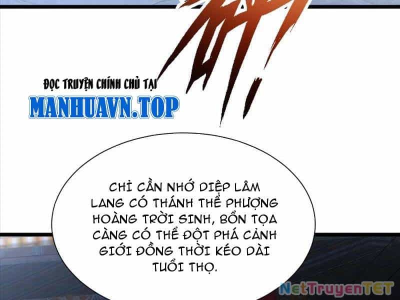 Hệ Thống Hèn Mọn Quỳ Xuống Cầu Xin Ta Vô Địch - Chương 32 - ảnh 12