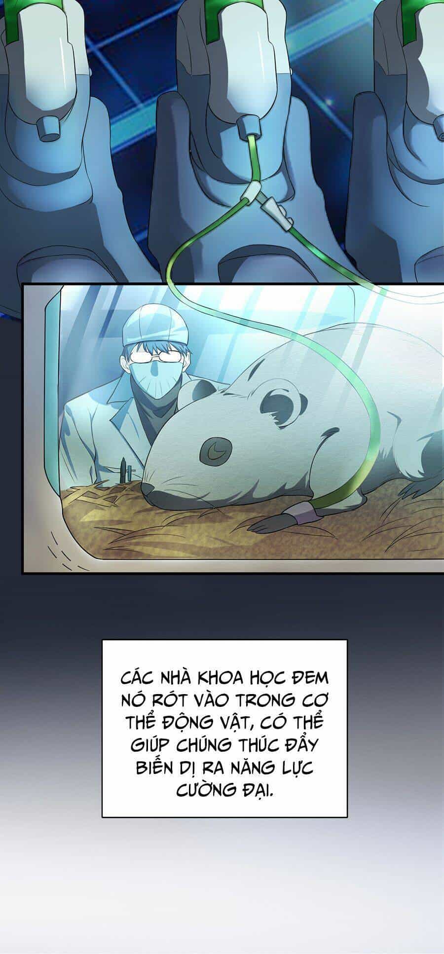 Hệ Thống Mô Phỏng Linh Sủng - Chương 1 - ảnh 11