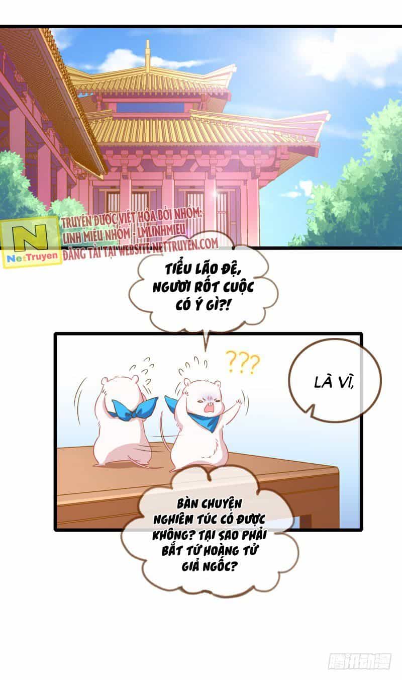 Hệ Thống Nghịch Tập - Chương 9 - ảnh 2