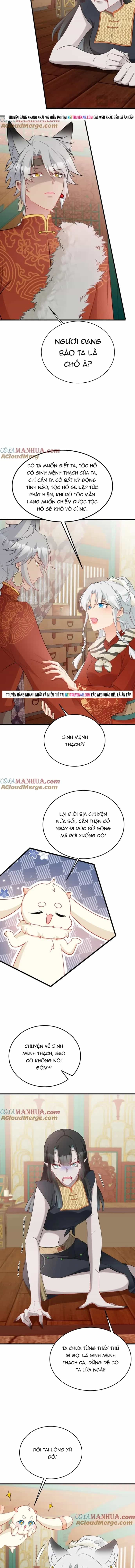 Hệ Thống Siêu Cấp Trà Xanh - Chương 58 - ảnh 6