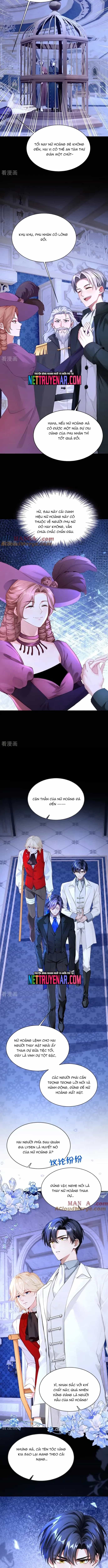 Hệ Thống Xuyên Nhanh: Ác Nam Không Dễ Chọc - Chương 165 - ảnh 2