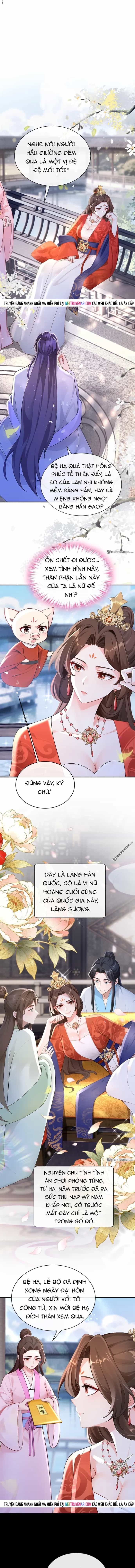 Hệ Thống Xuyên Nhanh: Ác Nam Không Dễ Chọc - Chương 277 - ảnh 4
