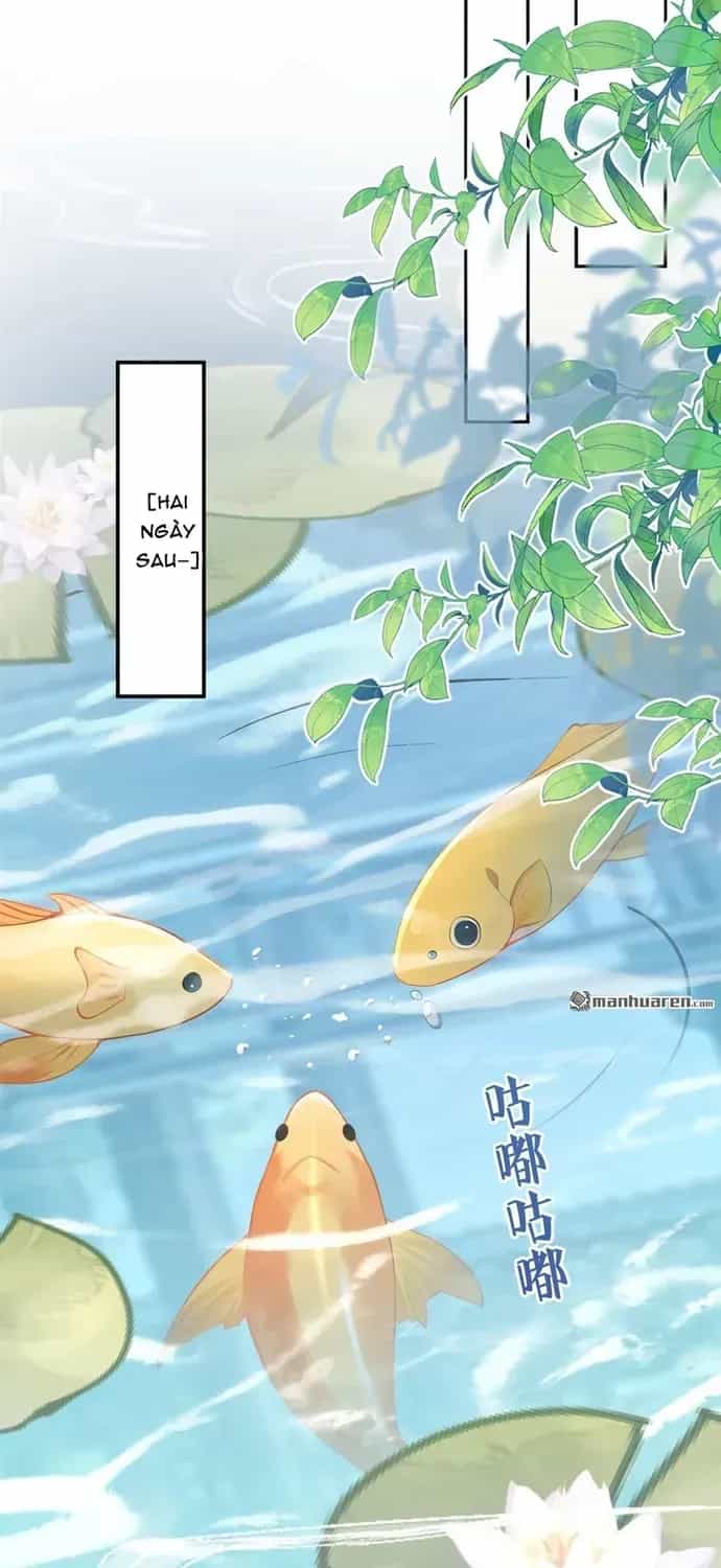 Hệ Thống Xuyên Nhanh: Ác Nam Không Dễ Chọc - Chương 290 - ảnh 15
