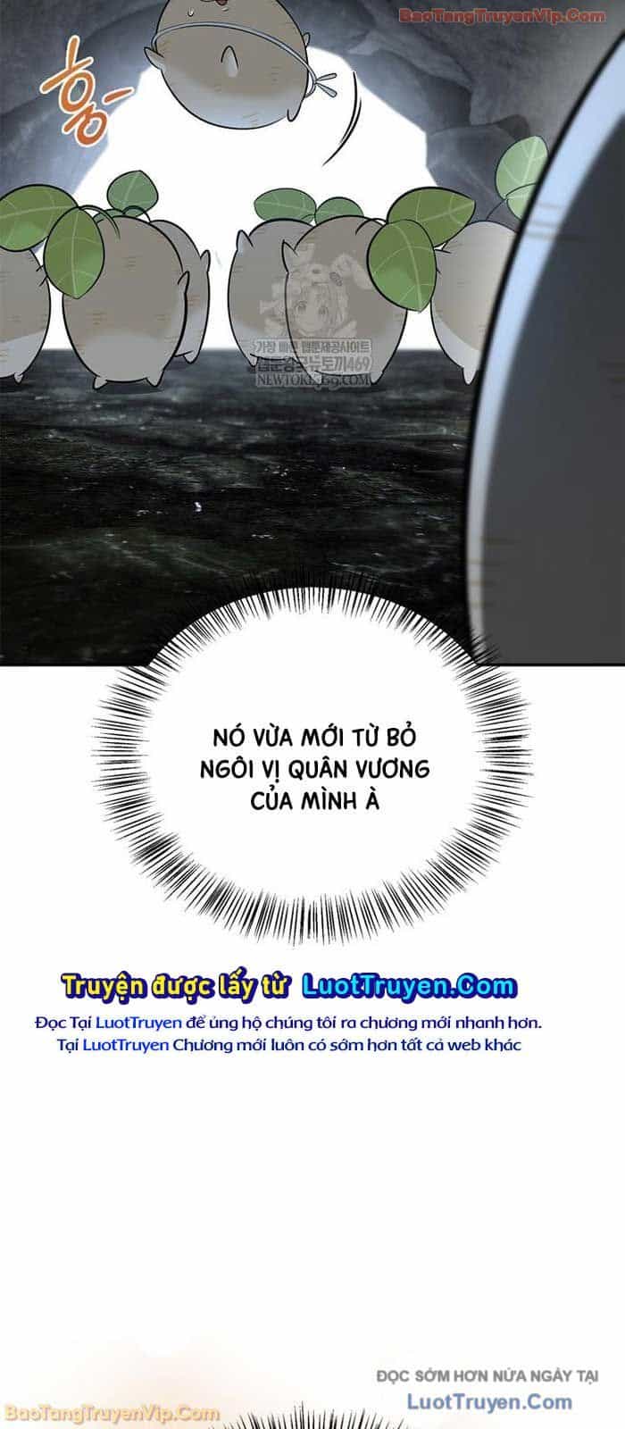 Healer Cấp S Chữa Trị Cho Quái Vật - Chương 27 - ảnh 76
