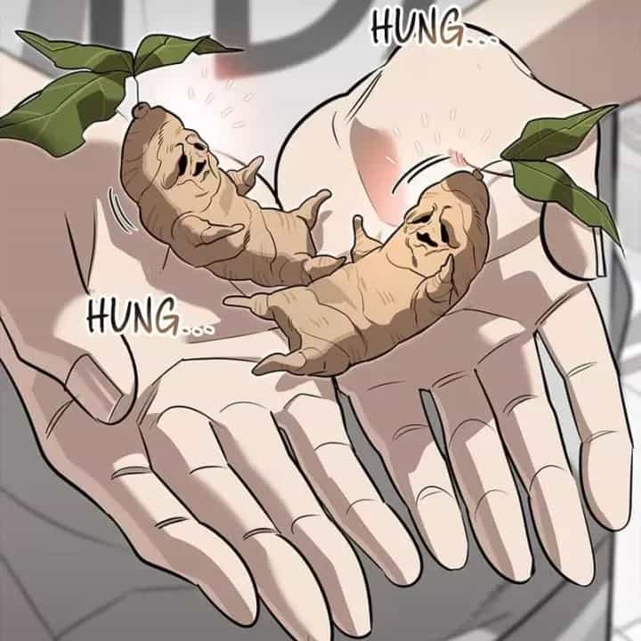Healer Cấp S Chữa Trị Cho Quái Vật - Chương 48 - ảnh 74