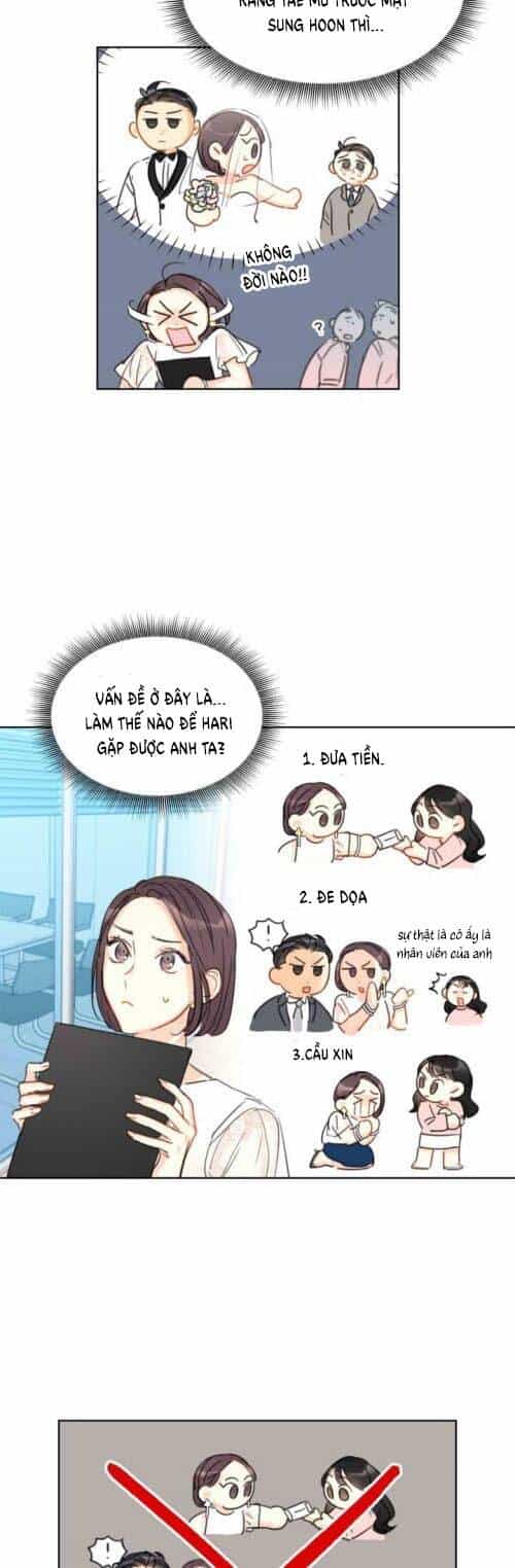 Hẹn Hò Nơi Công Sở - Chương 12 - ảnh 21