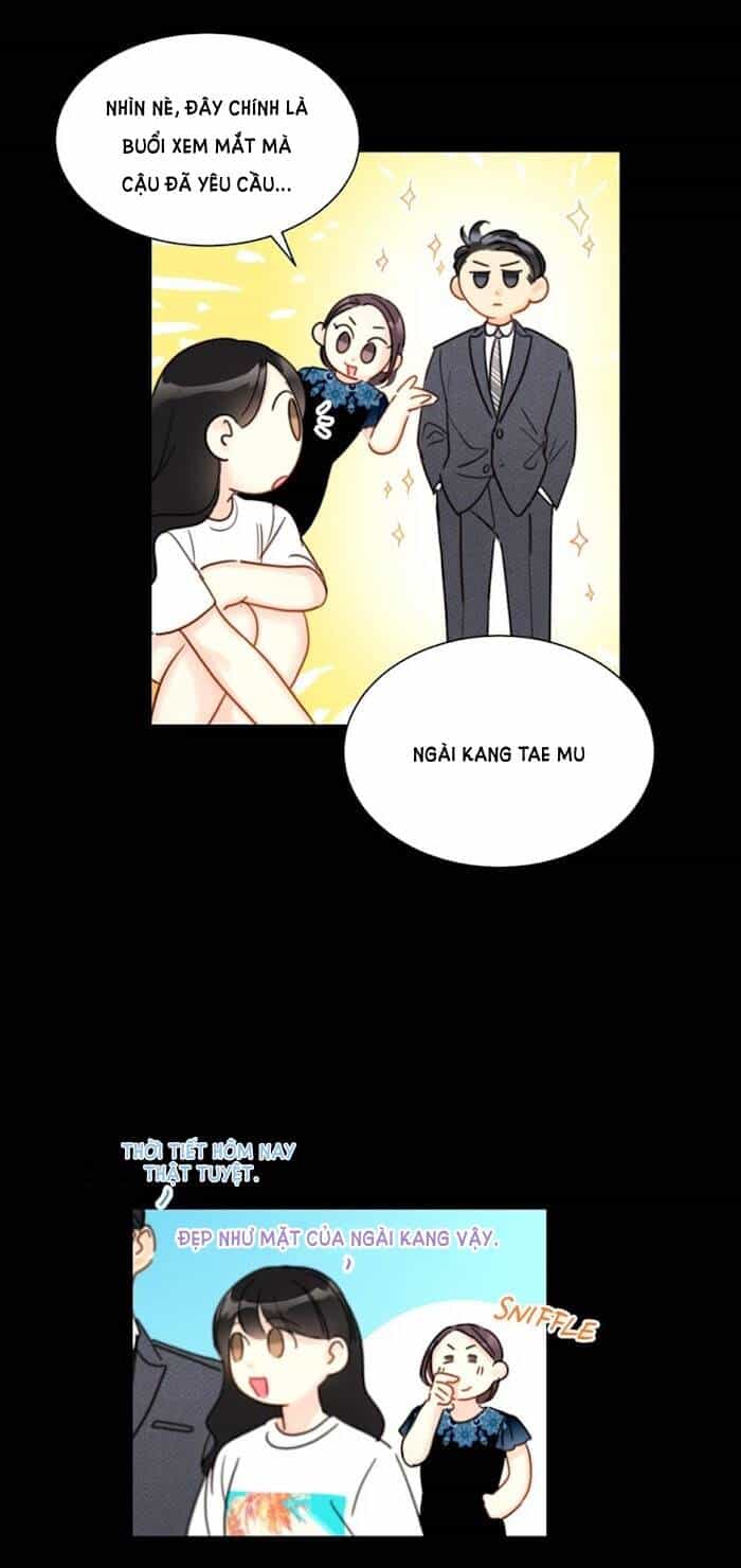 Hẹn Hò Nơi Công Sở - Chương 20 - ảnh 22